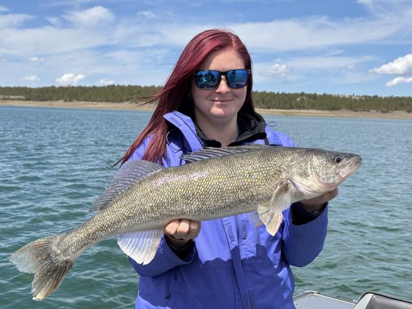 509432317_1276424471155787_1950594322356349084_n