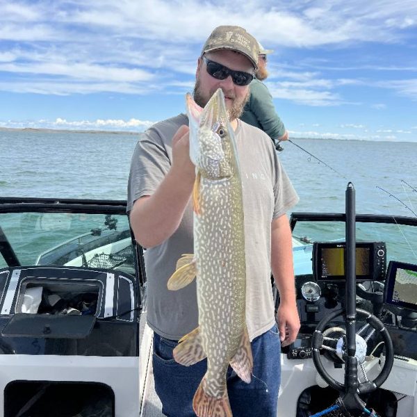 513933872_1284763680321866_752308063126319225_n